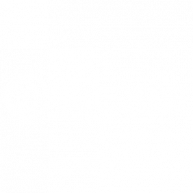 DEXIS Dental / Scanner und Sensoren Logo